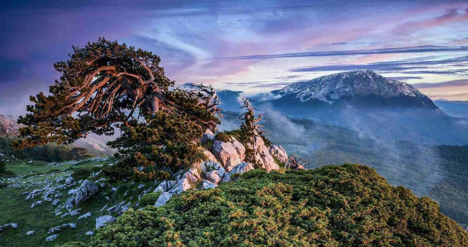 Ciclopark Morano Calabro Βίλα Εξωτερικό φωτογραφία