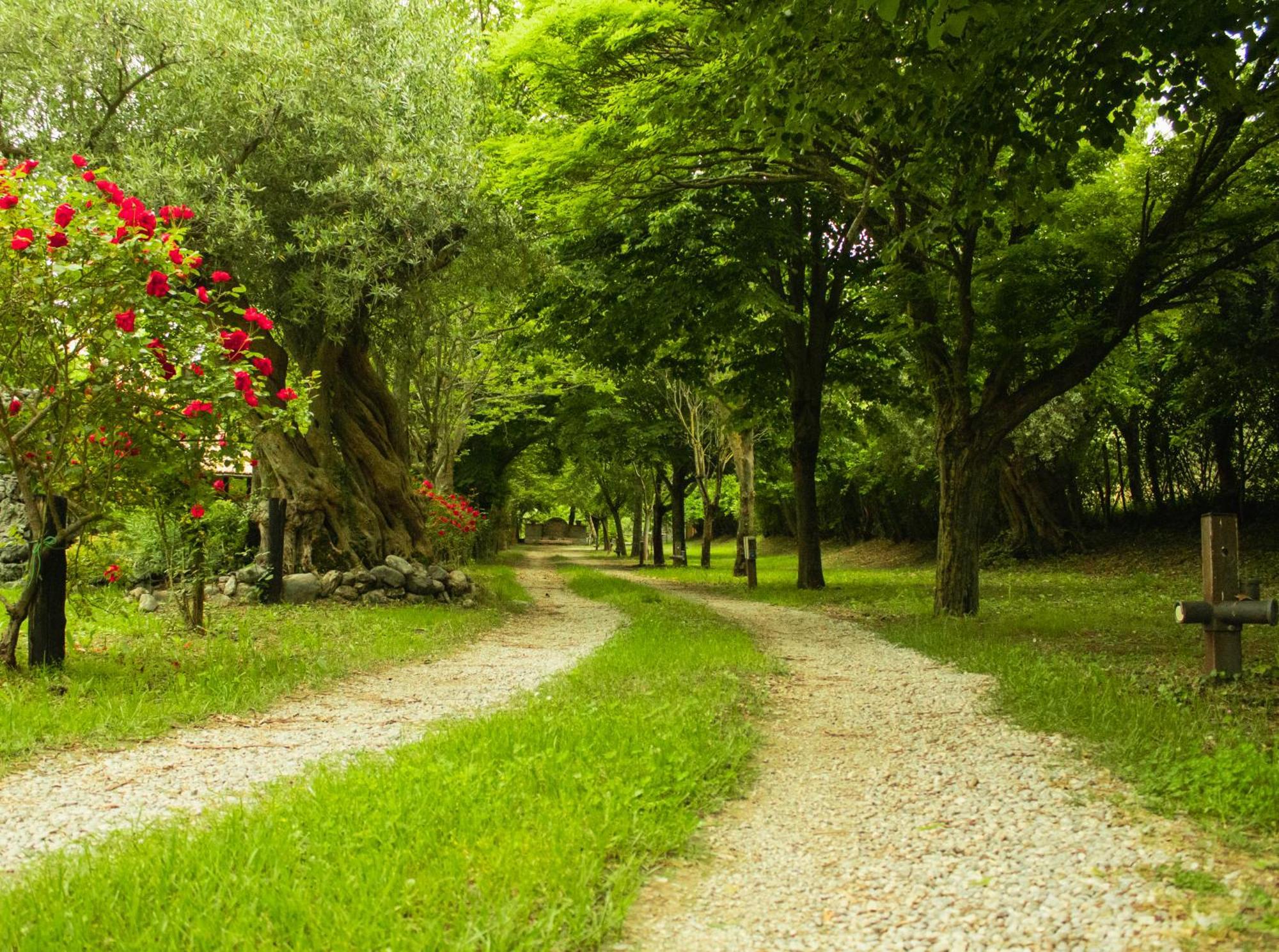 Ciclopark Morano Calabro Βίλα Εξωτερικό φωτογραφία